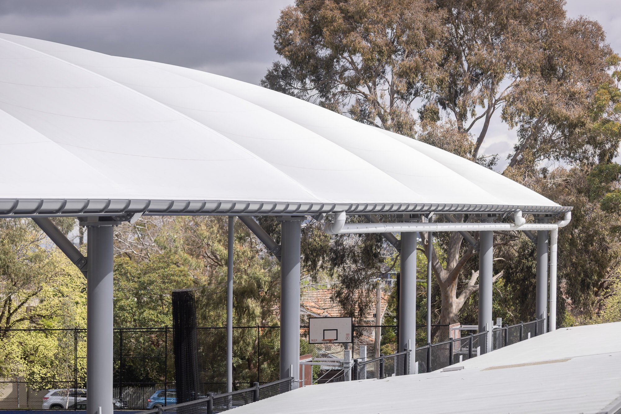 Greenline-2026-Carey-Baptist-Grammar-School-Kew-19