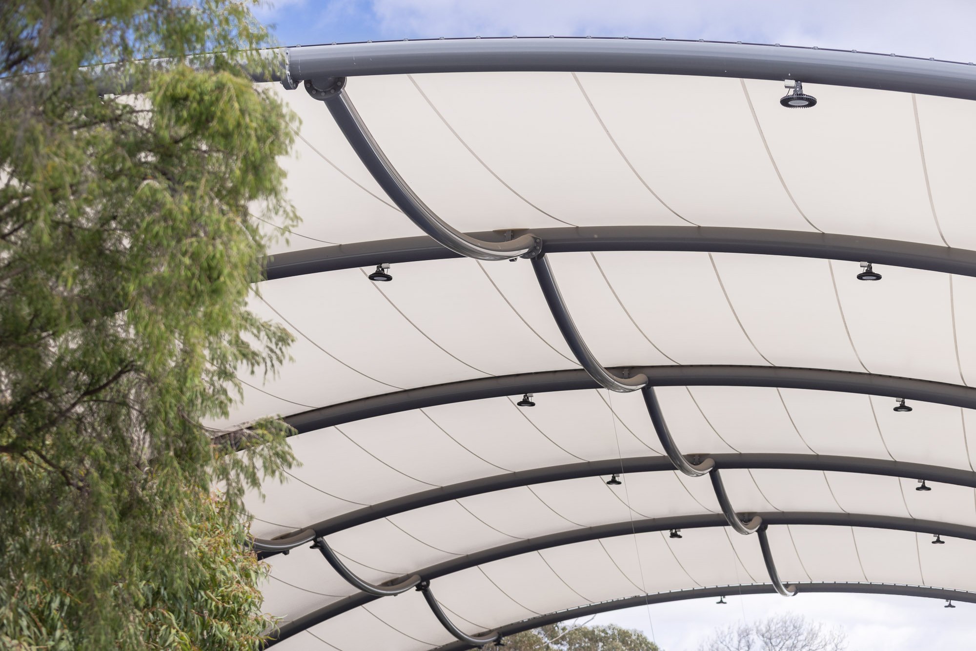 Greenline-2026-Carey-Baptist-Grammar-School-Kew-21