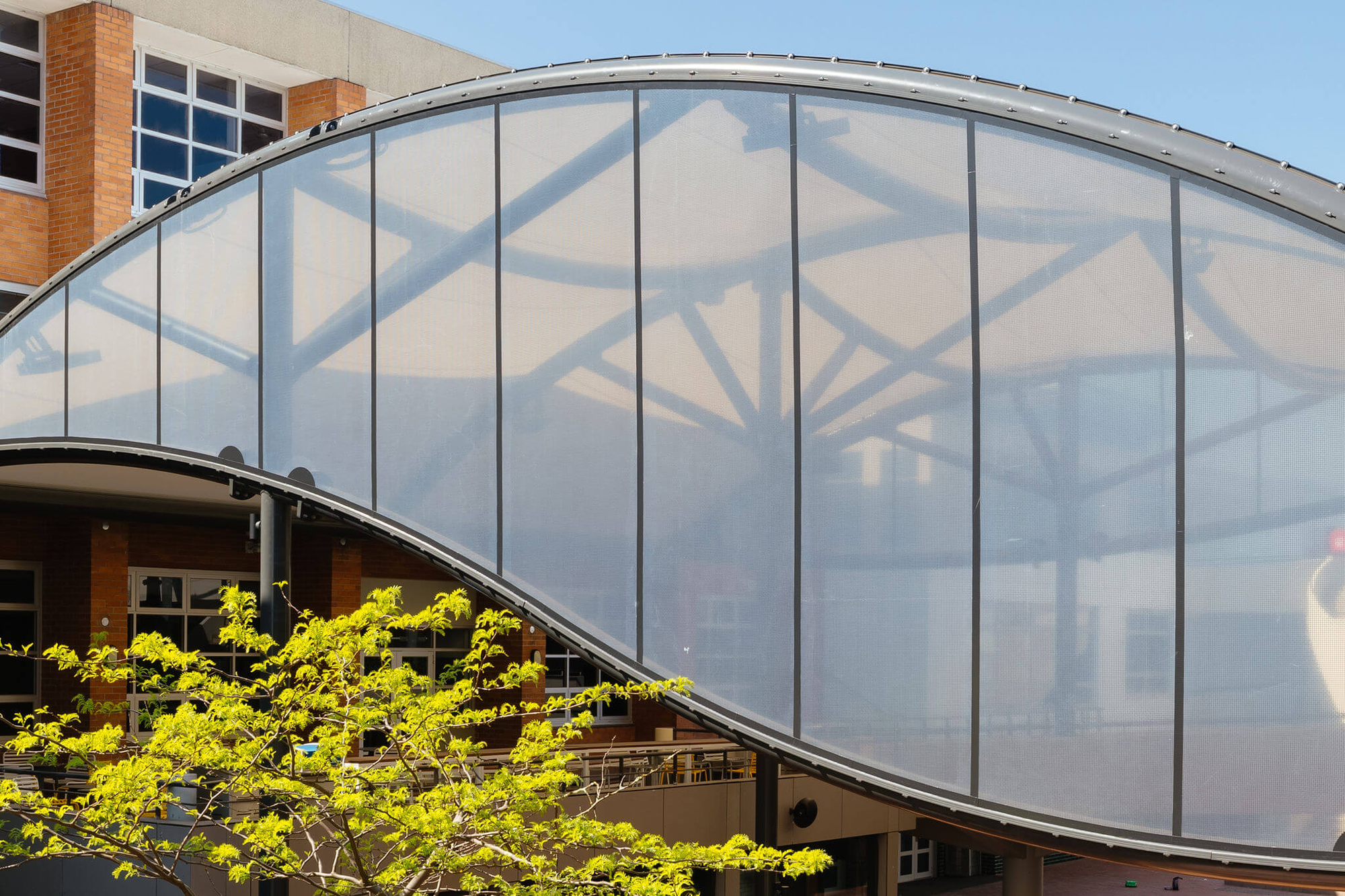 STFE creates a transparent end-wall for the outdoor cafe cover at Trinity Grammar Kew