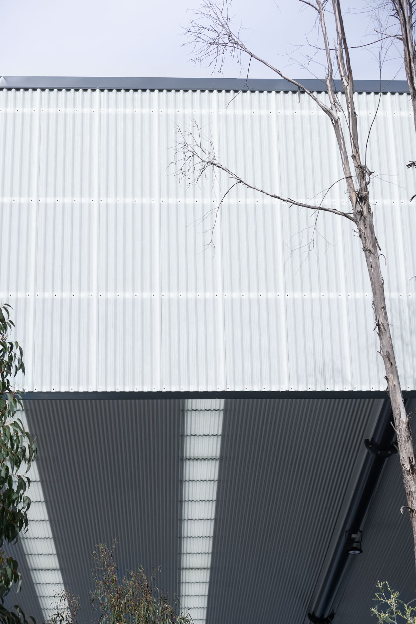 Greenline-2025-Diamond-Creek-Netball-Court-13