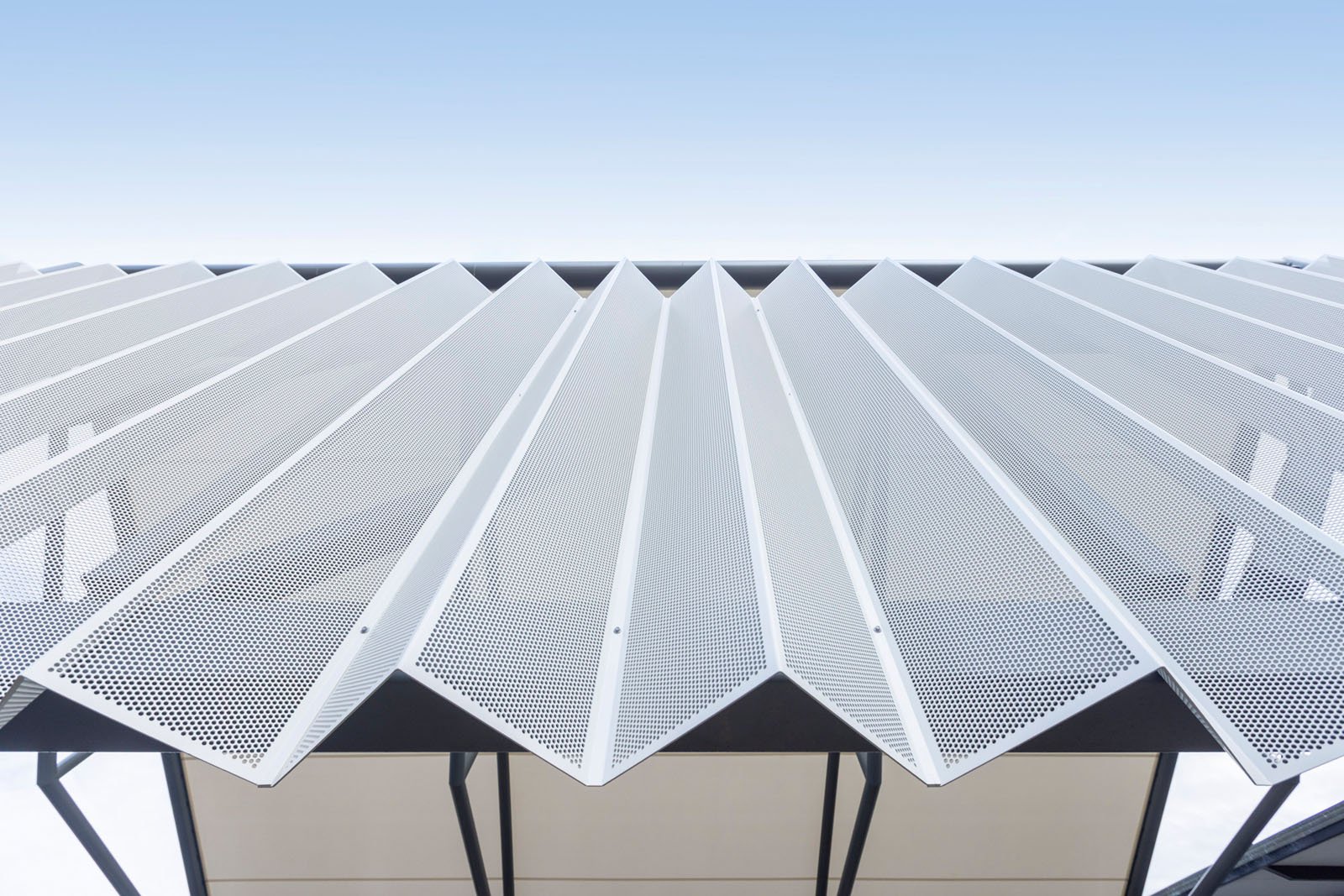 Sydney Grammar School | Greenline