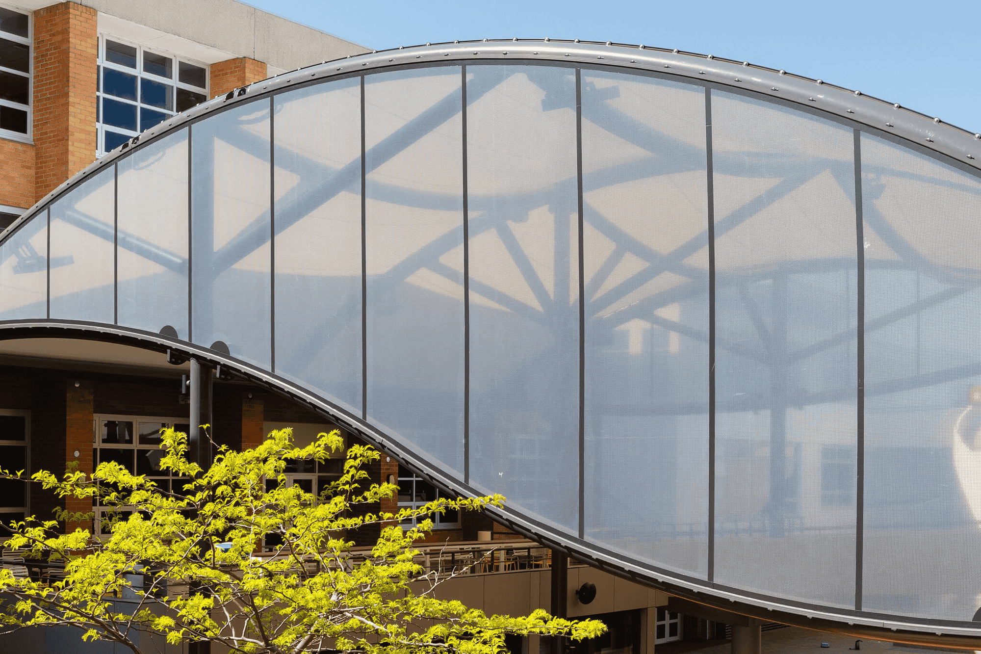 STFE creates a transparent end-wall for the outdoor cafe cover at Trinity Grammar Kew