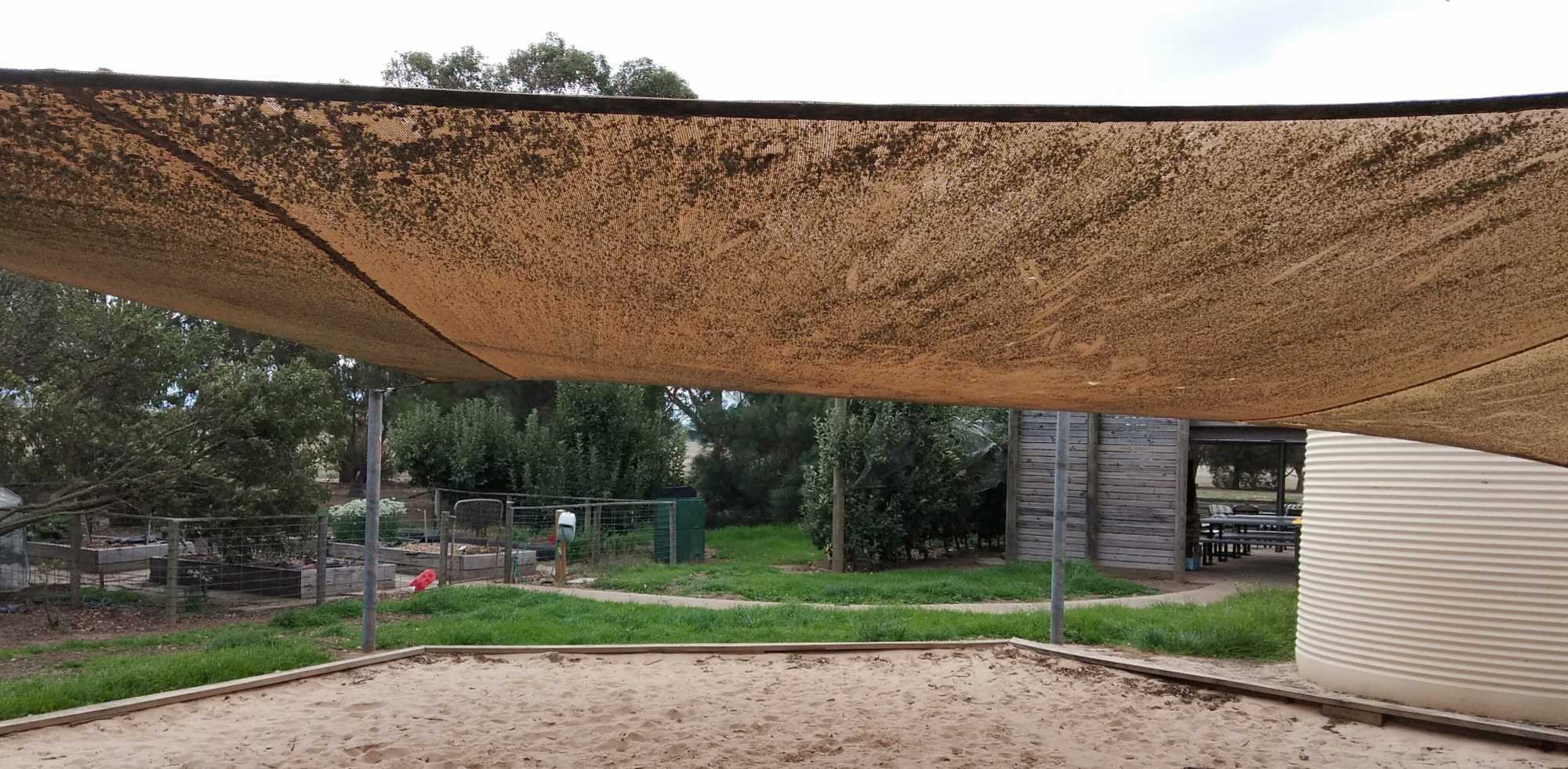 Dirt collected on shade sail