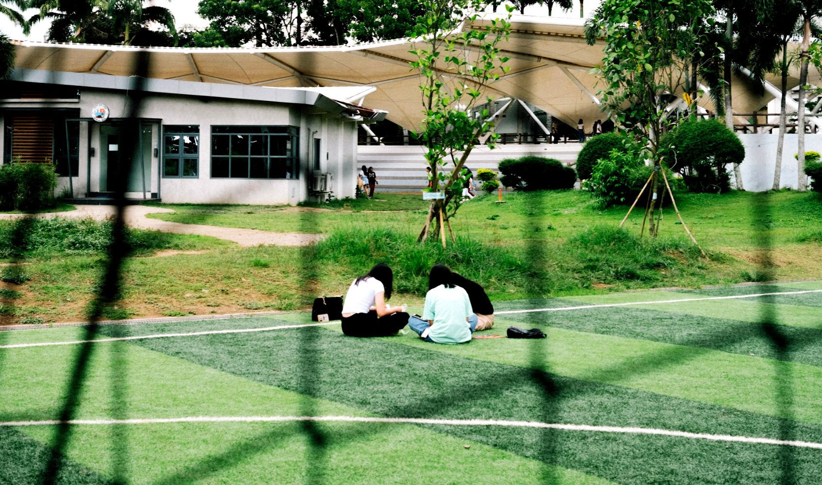 Students studying outdoors